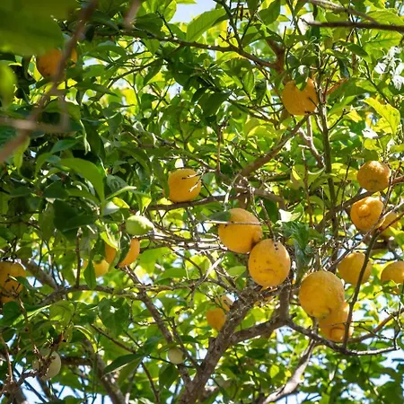 Giardino Sul Mare דירה אוטרנטו