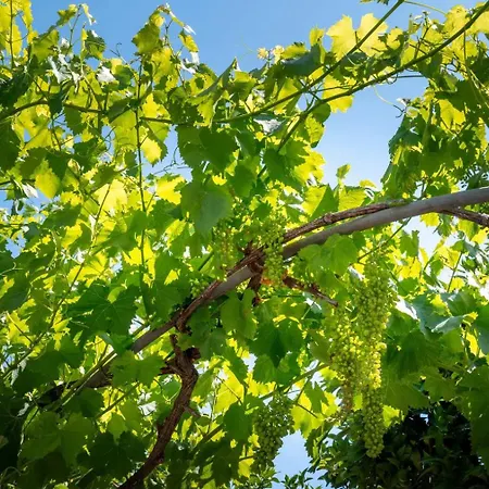 Apartman Giardino Sul Mare *